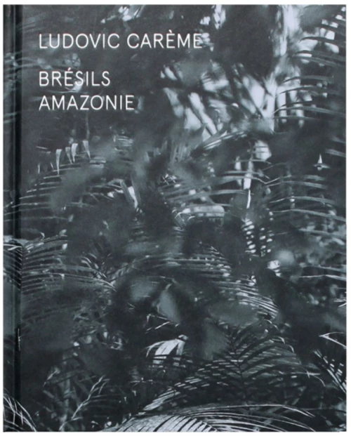 Βιβλίο Bresils Amazonie