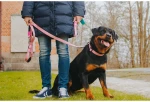 Max And Molly Μπρελόκ Exotique