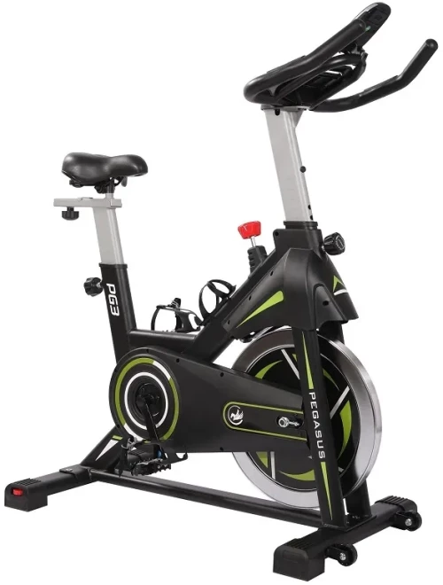 Ποδήλατο Γυμναστικής Spin Bike PG3 Μαγνητικό Pegasus