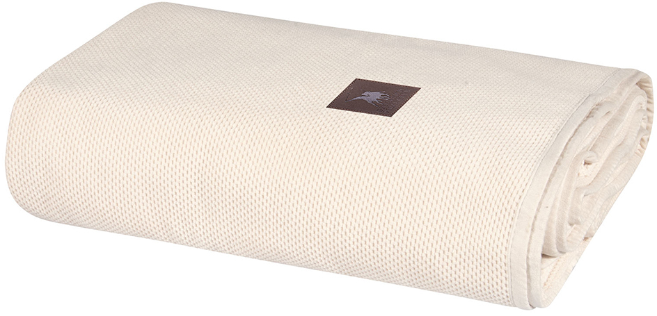 GREENWICH POLO CLUB ΡΙΧΤΑΡΙ 180Χ250 3922 ΙΒΟΥΑΡ