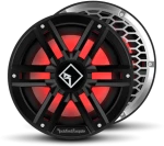 Rockford Fosgate Color Optix™ Sealed Enclosure Marine Subwoofer  M2 10" DVC 2Ω