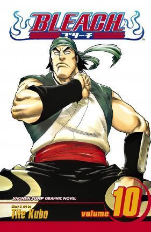 Bleach: vol 10