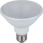 LED LAMP PAR30 15W E27 6500K