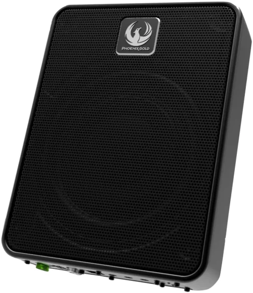 PHOENIX GOLD 8" ACTIVE SUBWOOFER 200W RMS UNDERSEAT PGZB8P PGZB8P
