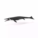 COLLECTA ΣΑΣΤΑΣΑΥΡΟΣ- PR-88974