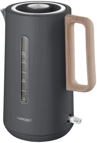 ELECTRIC KETTLE RK3370 CONCEPT