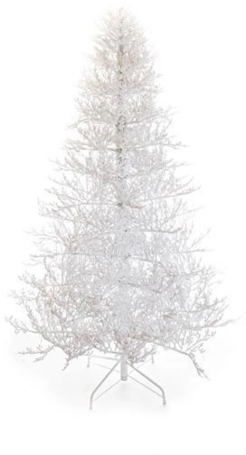 ΕΛΑΤΟ ΛΕΥΚΟ, ΙΣΛΑΝΔΙΑ, 225cm
