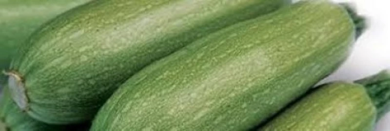Κολοκύθι Dolmas 1.000 σπόροι