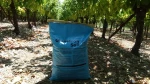 Glomeron Soil Μικροοργανισμοί 25kg