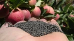 Glomeron Soil Μικροοργανισμοί 25kg