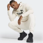 PUMA ESS Big Logo Hoodie FL (s) - 586687-87