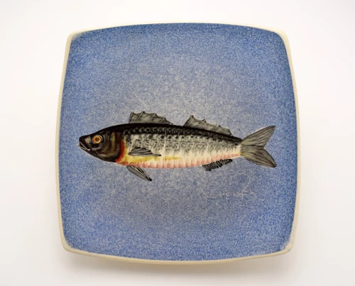 Πιάτο Τετράγωνο Κεραμικό Χειροποίητο Λαβράκι Μπλε - 25cm