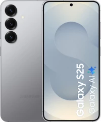 Samsung Galaxy S25 5G (12GB/256GB) Silver Shadow