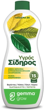 Υγρός σίδηρος 300mL