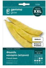 Φασόλι 837 καναρινί νάνο 10τμχ