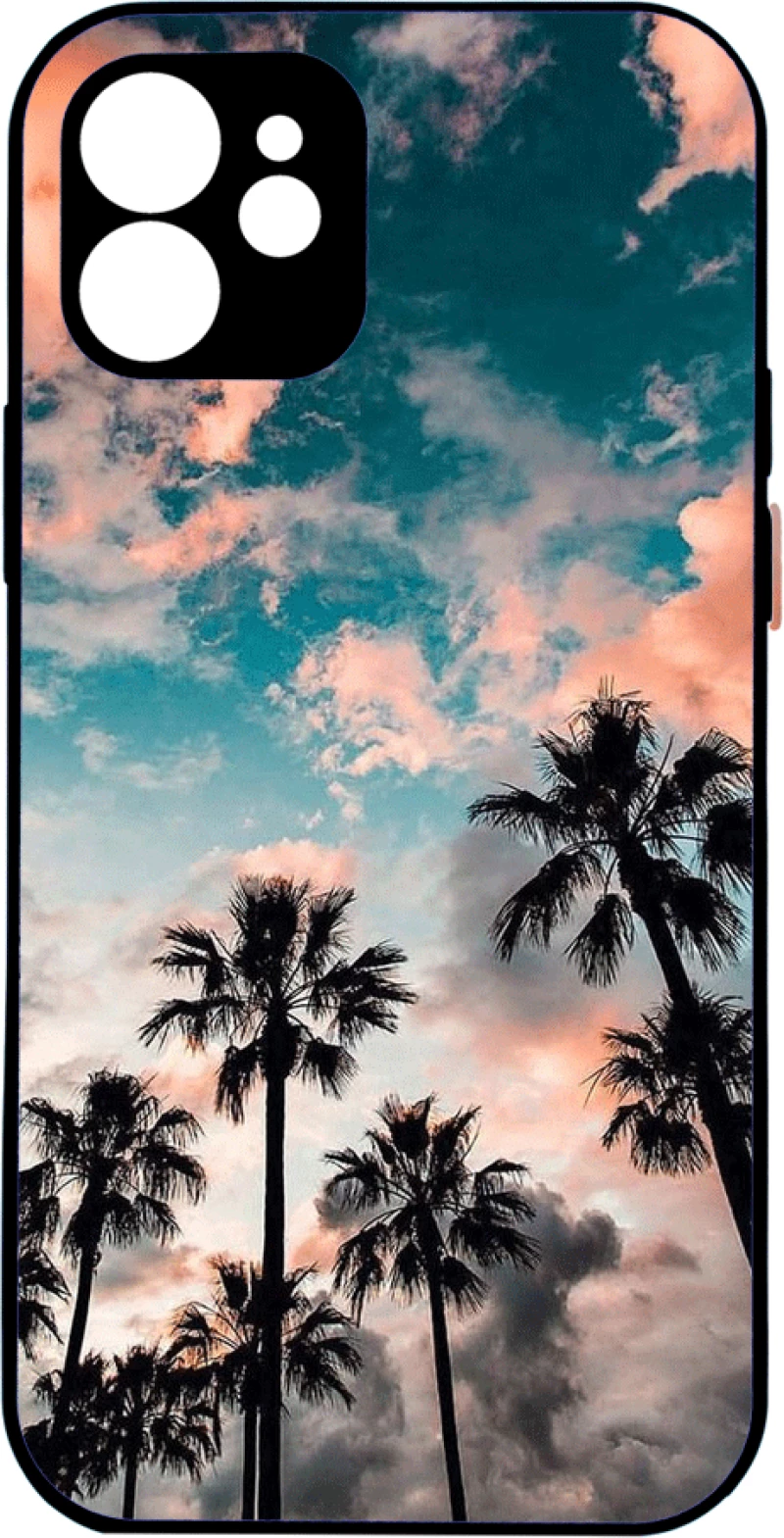 palm trees sky IPhone 12 Pro