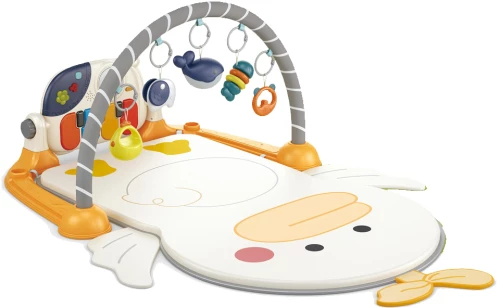ΓΥΜΝΑΣΤΗΡΙΟ DUCKY