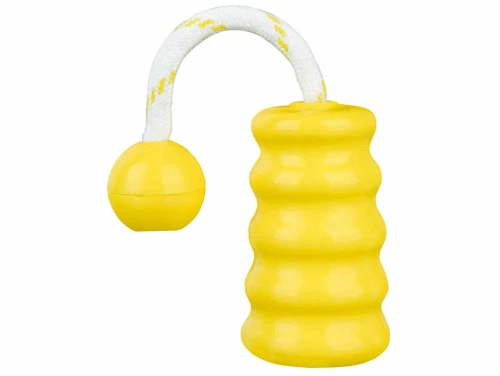 Παιχνίδια για Σκύλους Trixie 22 cm