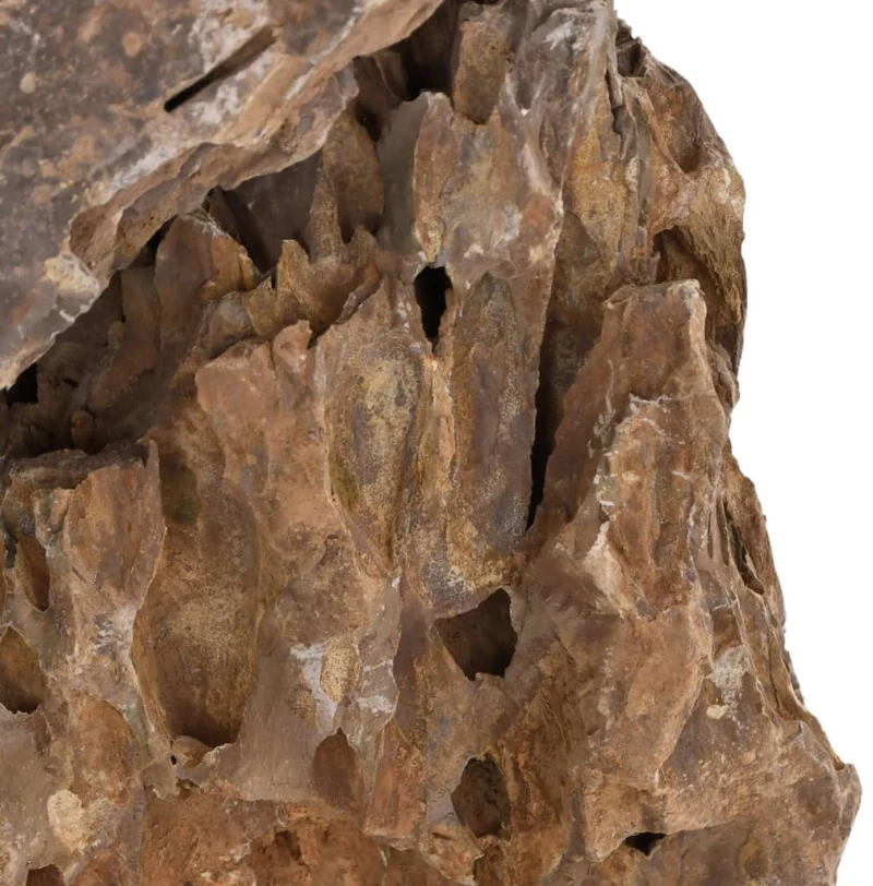 vidaXL Πέτρες Dragon Stones Διάφορα Χρώματα 10 κιλά 10-30 εκ.