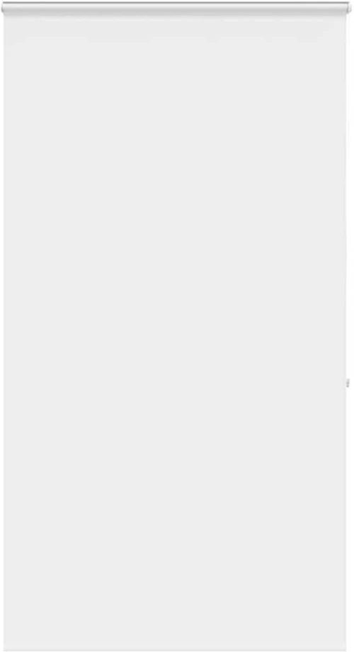 vidaXL Κουρτίνα Μπάνιου Ρολό κασέτα 120x240εκ. Πλάτος υφάσματος 116εκ.