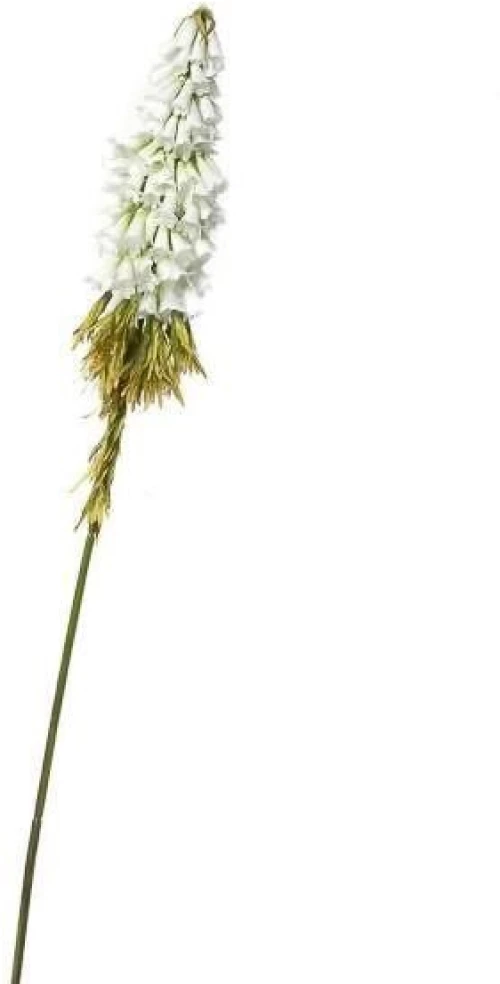 Supergreens Τεχνητό Κλωνάρι Κνιφόφια Λευκό 80 εκ