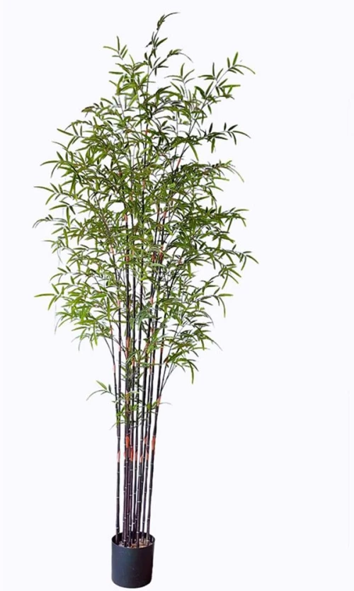 Τεχνητό Δέντρο Μπαμπού Nigra 7001-6 240cm Green Supergreens Πολυαιθυλένιο