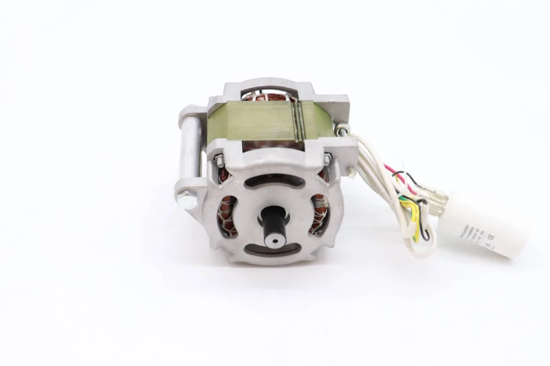 MS250 - Motor #58