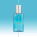 Ανδρικό Άρωμα Davidoff EDT Cool Water Wave 40 ml