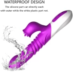 Vibrator-Silicone Vibrator USB 10 Function and Thrusting Function / Heating