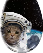 Καπάκι WC Cosmo Cat  37x45 εκ