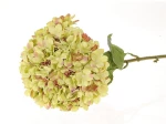 Κλαδί ορτανσία πράσινη Φ30Η111cm
