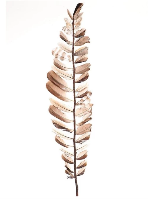 Κλαδί με πούπουλα Η100cm