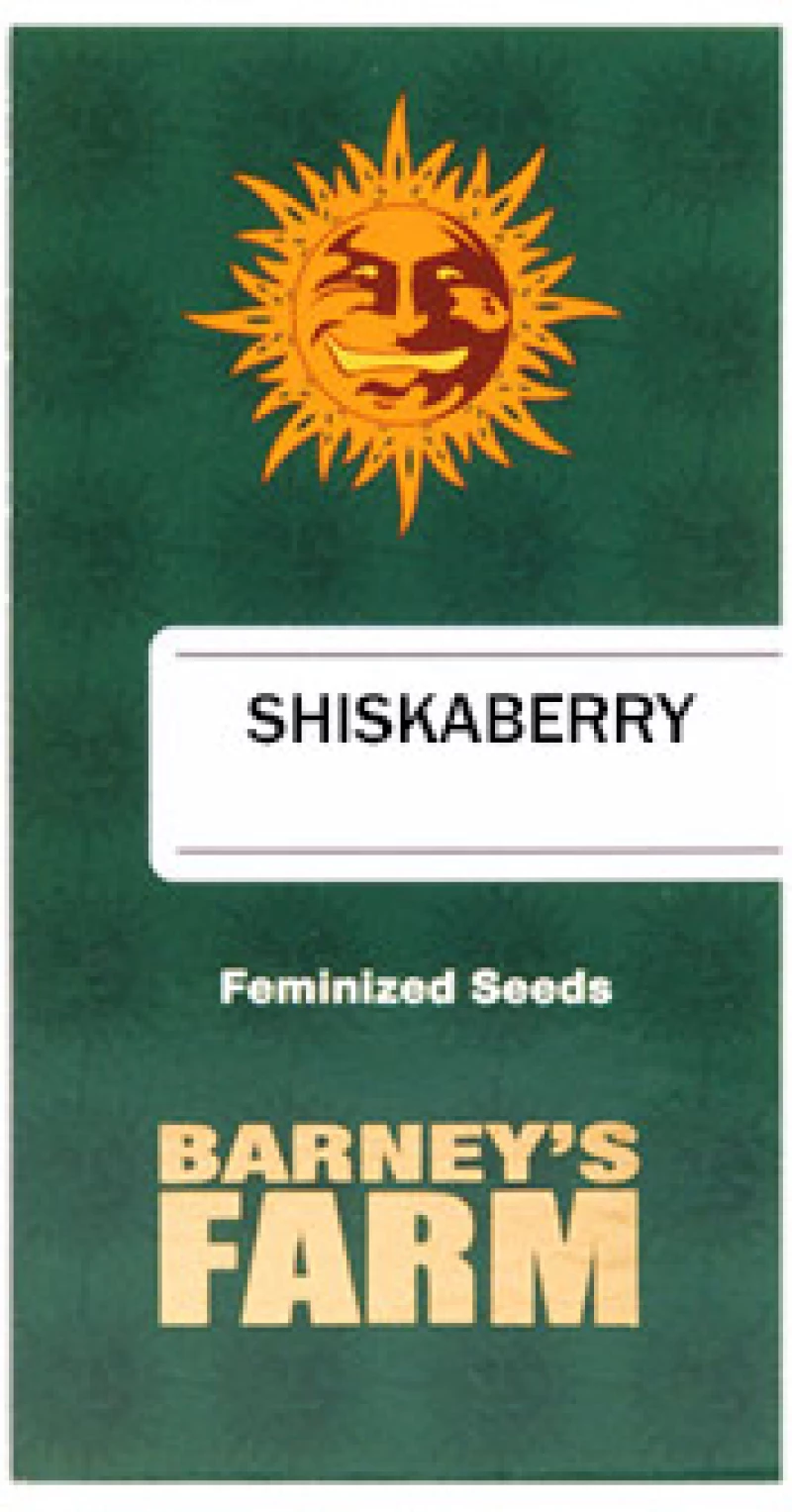 Barneys farm Shiskaberry
