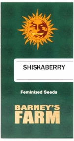 Barneys farm Shiskaberry