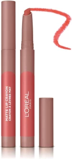 L'Oreal Paris Infallible Very Matte Lip Crayon Lipstick No.105 Sweet and Salt
