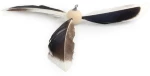 AFP Παιχνίδι Γάτας Instincts Feather Copter Wand Καφέ