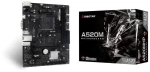 Biostar A520MHP (AM4) (D)