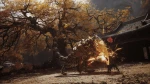 Black Myth: Wukong / PlayStation 5