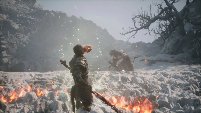 Black Myth: Wukong / PlayStation 5