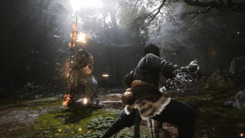Black Myth: Wukong / PlayStation 5