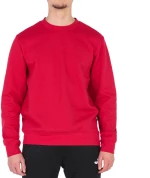 Joma Montana Sweatshirt 102107-600