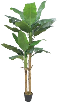 BANANA ΔΕΝΤΡΟ ΤΕΧΝΗΤΟ ΣΕ ΓΛΑΣΤΡΑ 220 PEVA ΠΡΑΣΙΝΟINTHEBOX