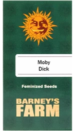 Barneys Farm Moby Dick