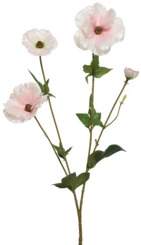 ΛΟΥΛΟΥΔΙ  67CM   Beauty Home