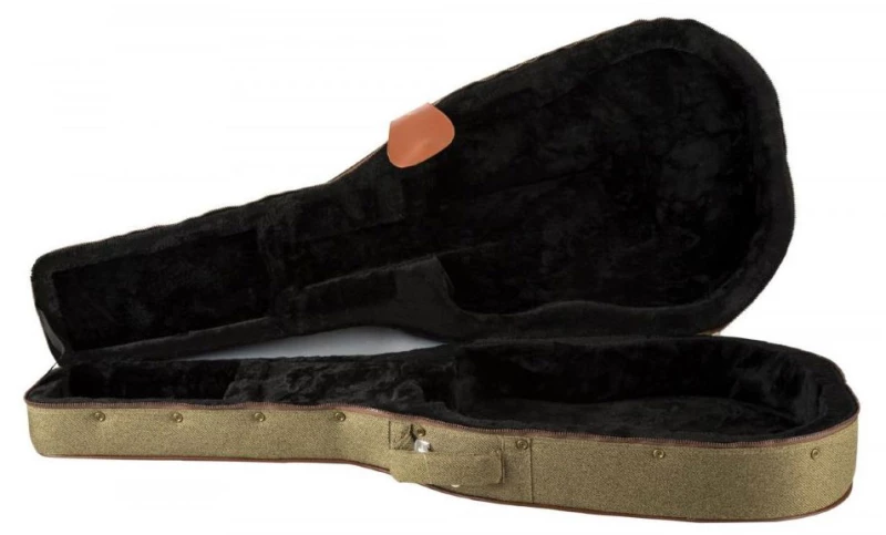 Ibanez FS-40DA