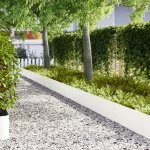 vidaXL Σύνορα Γκαζόν 20 τεμάχια Λευκό 100x0,5x30 εκ Πλαστικό