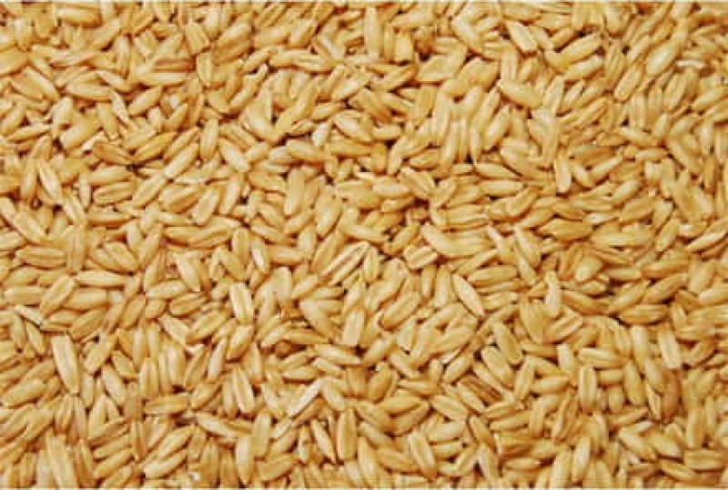 Versele-laga Βρώμη - 1KG χύμα