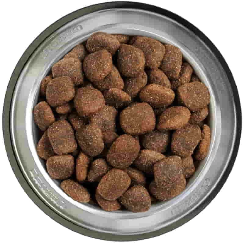 BELCANDO ADULT ACTIVE - 12,5KG