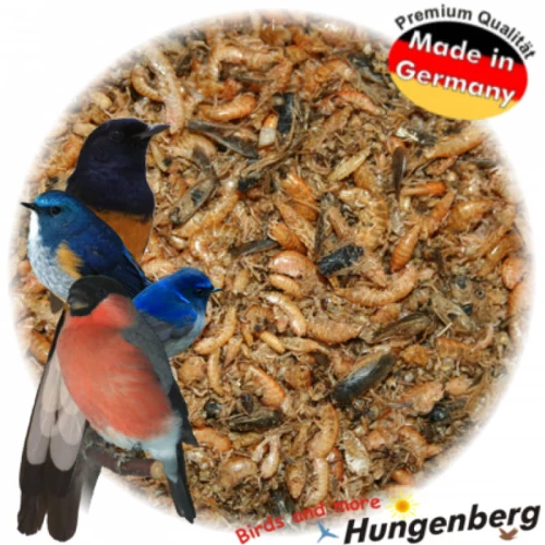 Hungenberg Insect Mix - 1KG