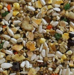 Manitoba Amazon Parrots - 2KG
